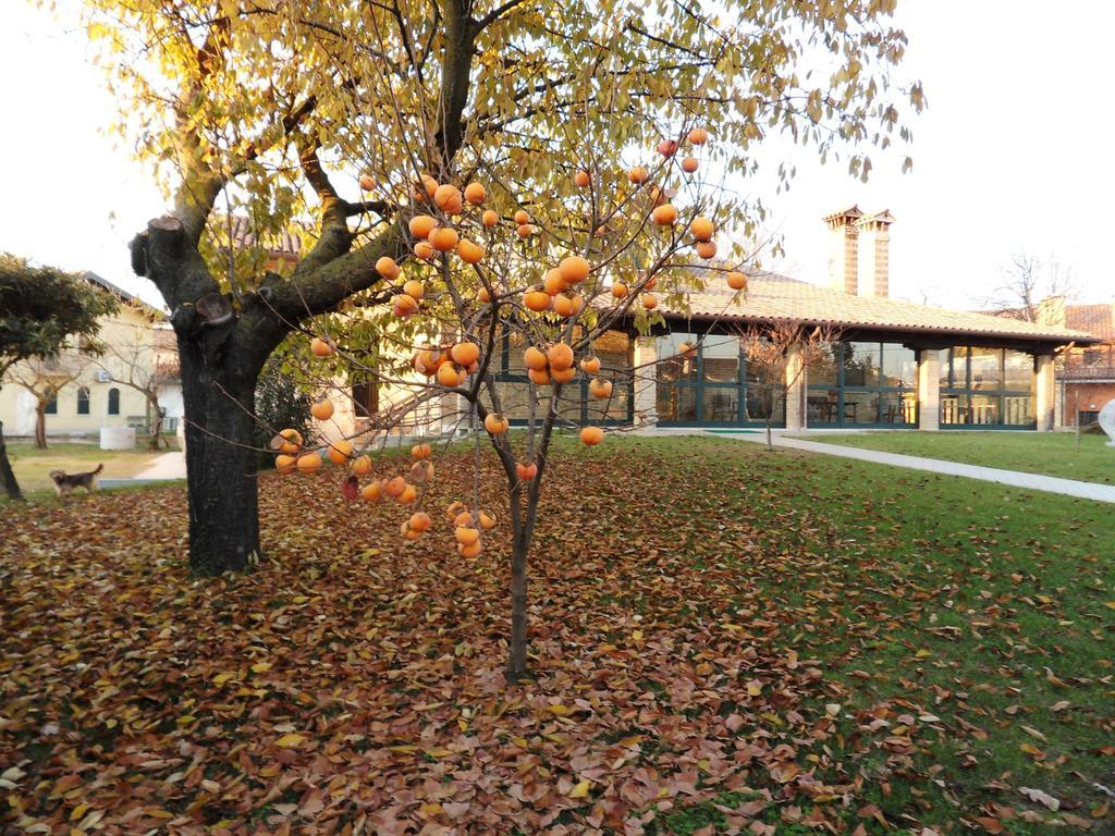 Residence Armonia Roncade Buitenkant foto